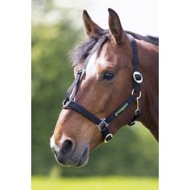Shires Greenguard Headcollar
