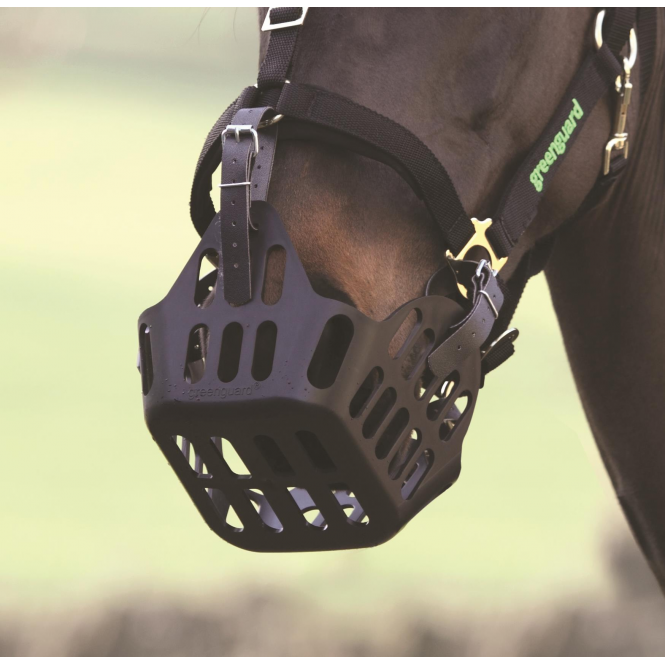 Shires  Greenguard Spare Strap