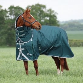 Shires Highlander Original 300 Turnout Rug & Neck Set - Green