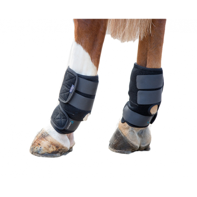 Shires  Hot/Cold Joint Relief Boots - Black