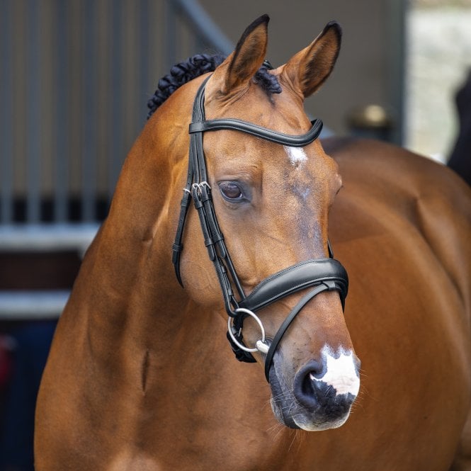 Shires  Lusso Dressage Flash Bridle