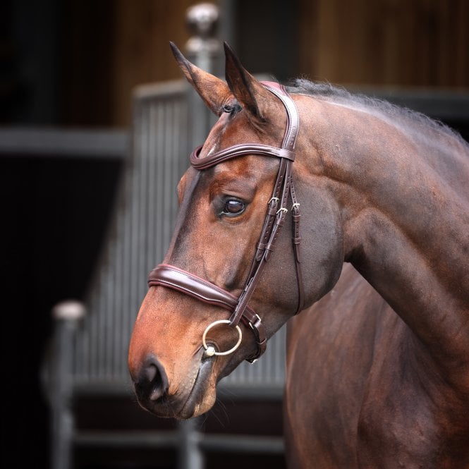 Shires  Lusso Elite Padded Cavesson Bridle