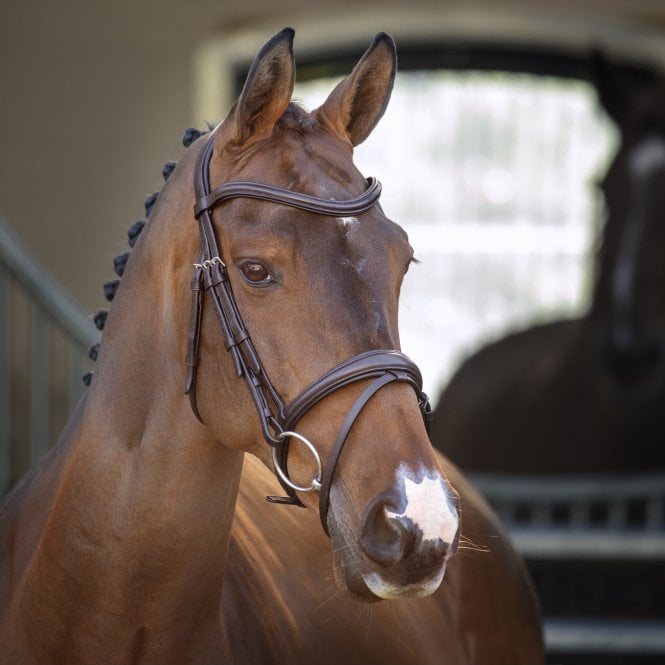 Shires  Lusso Padded Raised Flash Bridle