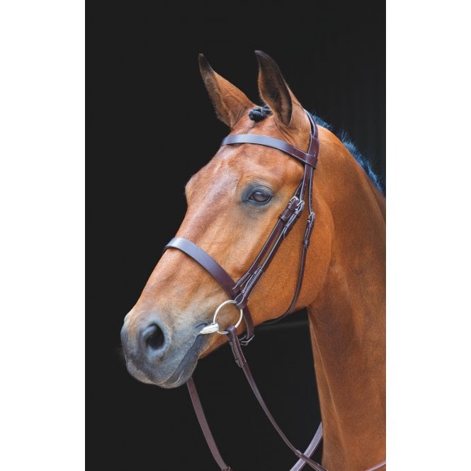 Shires  Salisbury Berrington Bridle - Australian Nut