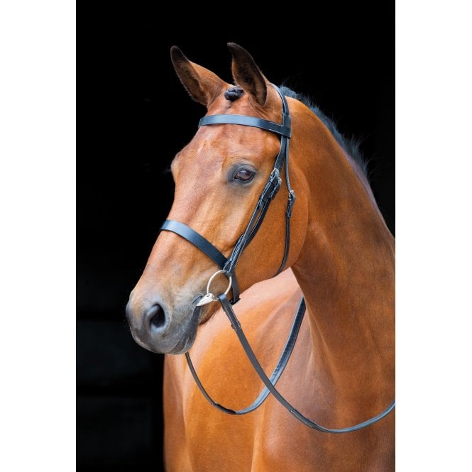 Shires  Salisbury Berrington Bridle - Black