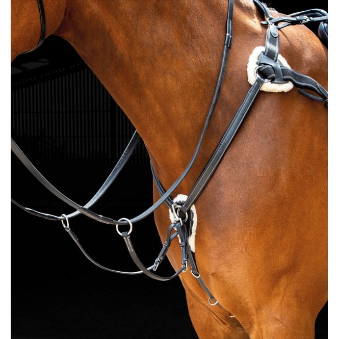 Shires  Salisbury Five Point Breastplate