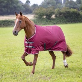 Shires Tempest Original 200 Turnout Rug - Maroon