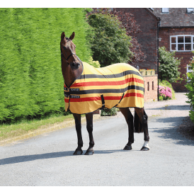 Shires Tempest Original Newmarket Fleece Rug - Newmarket Stripe