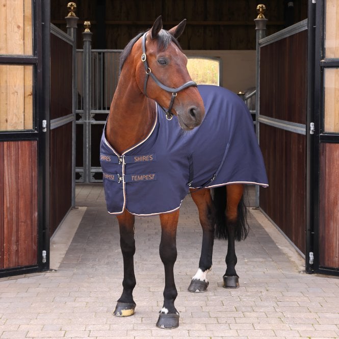 Shires  Tempest Original Stable Sheet - Ink