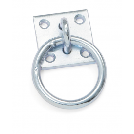 Shires Tie Ring with Plate