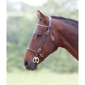 Shires Velociti GARA Clincher Inhand Bridle