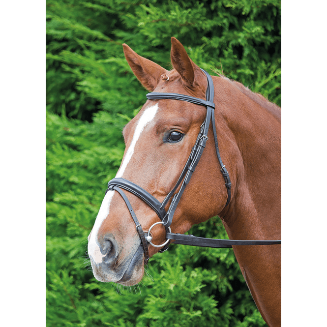 Shires  Velociti GARA Comfort Fit Bridle - Havana