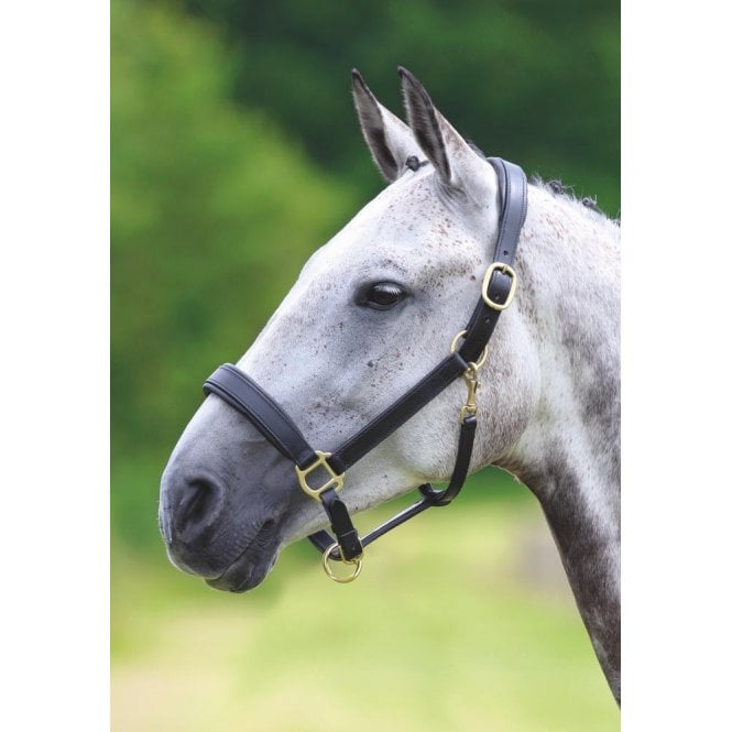 Shires  Velociti Gara Leather Travel Headcollar