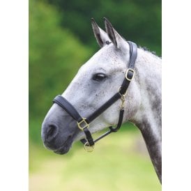 Shires Velociti Gara Leather Travel Headcollar