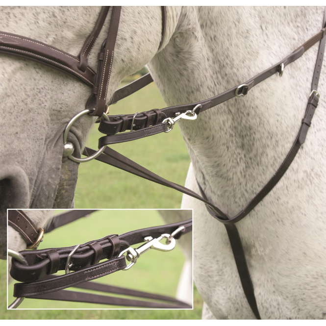 Shires  Velociti Gara Market Harborough Martingale