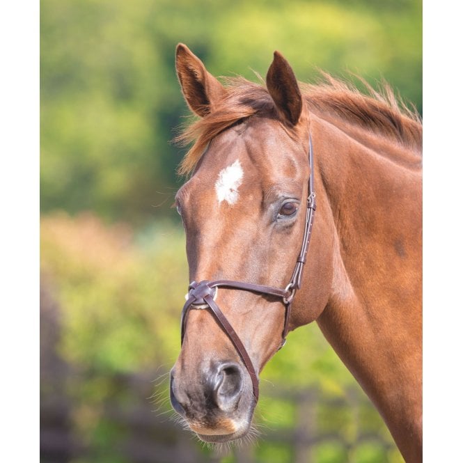 Shires  Velociti GARA Mexican Noseband
