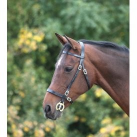 In hand bridle