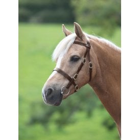 Shires Velociti GARA Plain Inhand Bridle - Havana