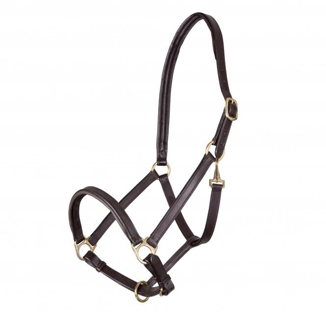 Shires  Velociti GARA Ragley Lined Leather Headcollar