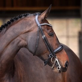 Shires Velociti Lusso Elite Double Bridle - Black