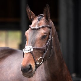 Shires Velociti Lusso Elite Grackle Bridle
