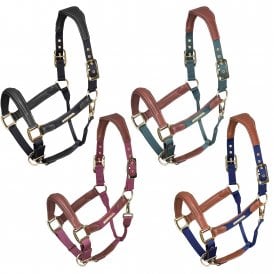 Shires Velociti Lusso Padded Leather Headcollar
