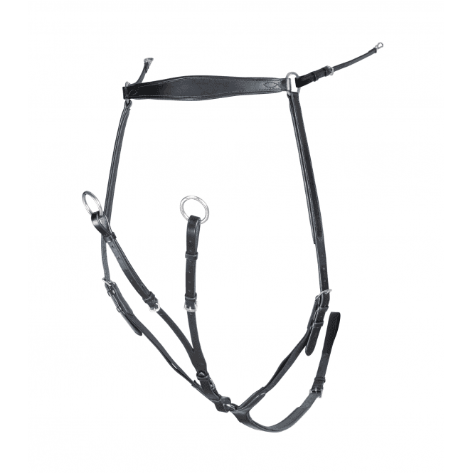 Shires  Velociti RAPIDA Breastplate