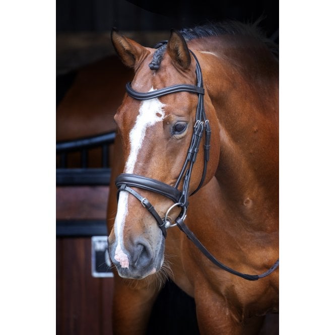 Shires  Velociti RAPIDA Dressage Bridle with Flash - Black