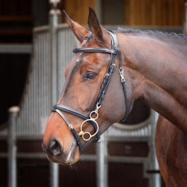 Shires Velociti Rapida Training Bridle