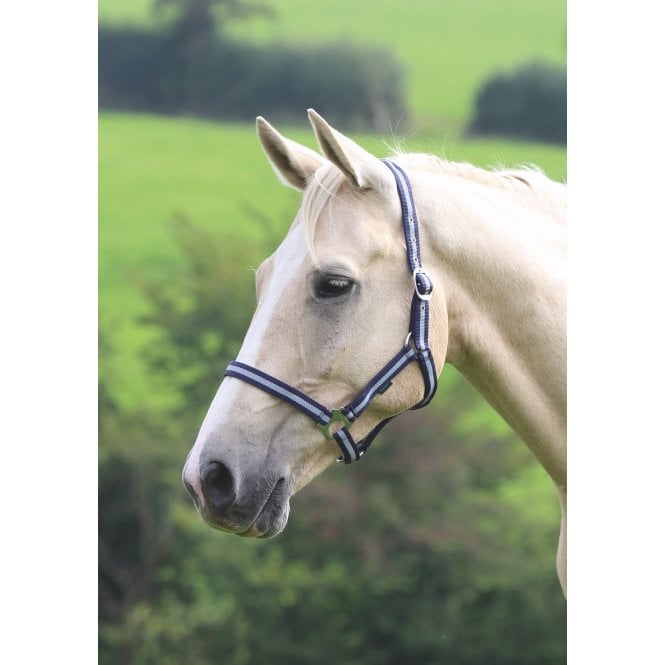 Shires  Wessex Pony/Horse Headcollar