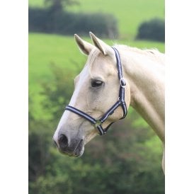 Shires Wessex Pony/Horse Headcollar