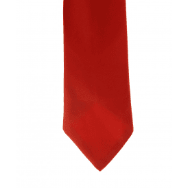 ShowQuest Adults Plain Tie