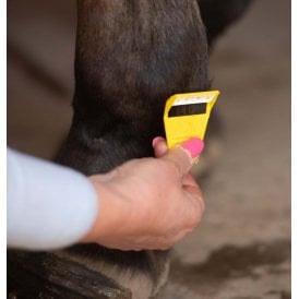 Smart Grooming Equishave