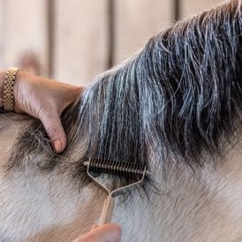 Smart Grooming Mane Thinners - Fine