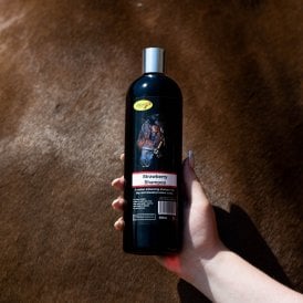 Smart Grooming Strawberry Shampoo 500ml