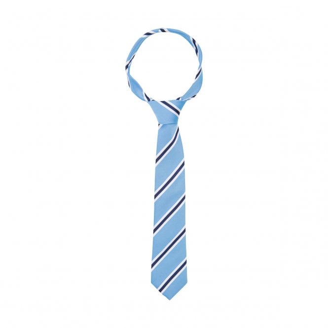 Supreme Products  Adult Show Tie - Blue/Navy Stripe