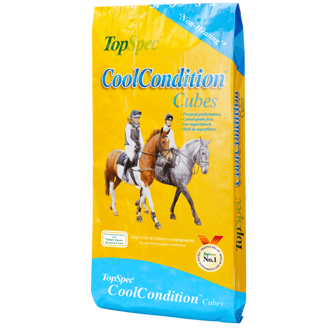 TopSpec  Cool and Condition Cubes