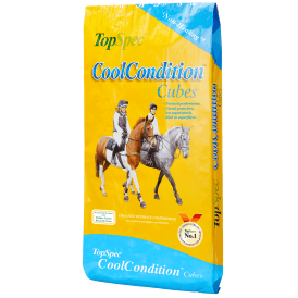 Topspec Cool and Condition Cubes