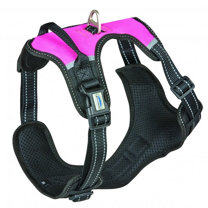 Weatherbeeta  Anti Pull/Travel Harness - Black/Pink