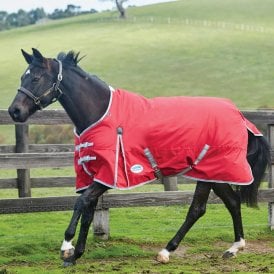 Weatherbeeta Comfitec Classic Standard Neck Lite Turnout - Red/Silver/Navy