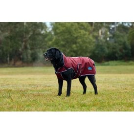 Weatherbeeta Comfitec Premier Deluxe Waterproof Dog Coat - Burgundy/Navy Blue