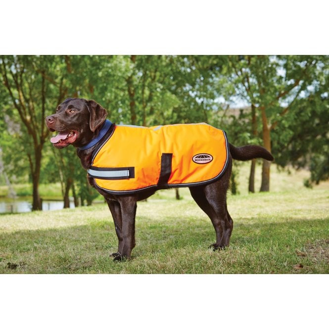 Weatherbeeta  Comfitec Reflective Parka 300D Dog Coat - Orange