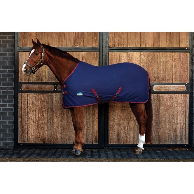 Weatherbeeta  Cotton Sheet Standard Neck - Navy/Burgundy