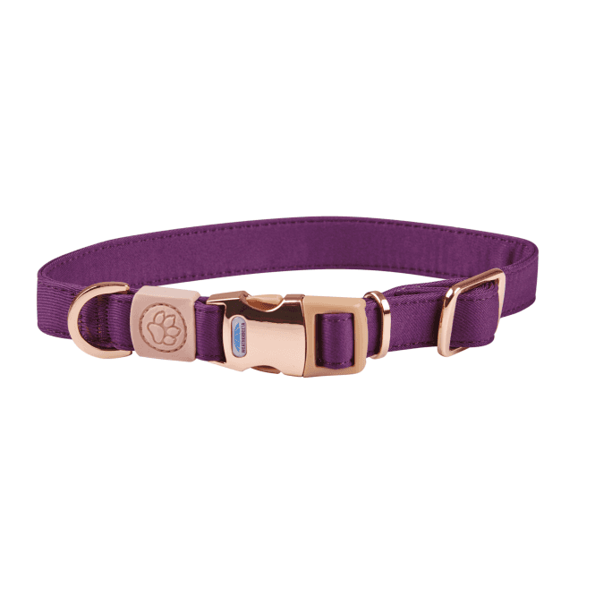 Weatherbeeta  Elegance Dog Collar - Purple