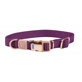 Weatherbeeta Elegance Dog Collar - Purple