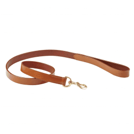 Weatherbeeta Leather Dog Lead - Tan