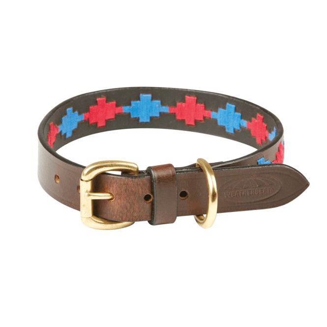 Weatherbeeta  Polo Leather Dog Collar - Beaufort Brown/Pink/Blue