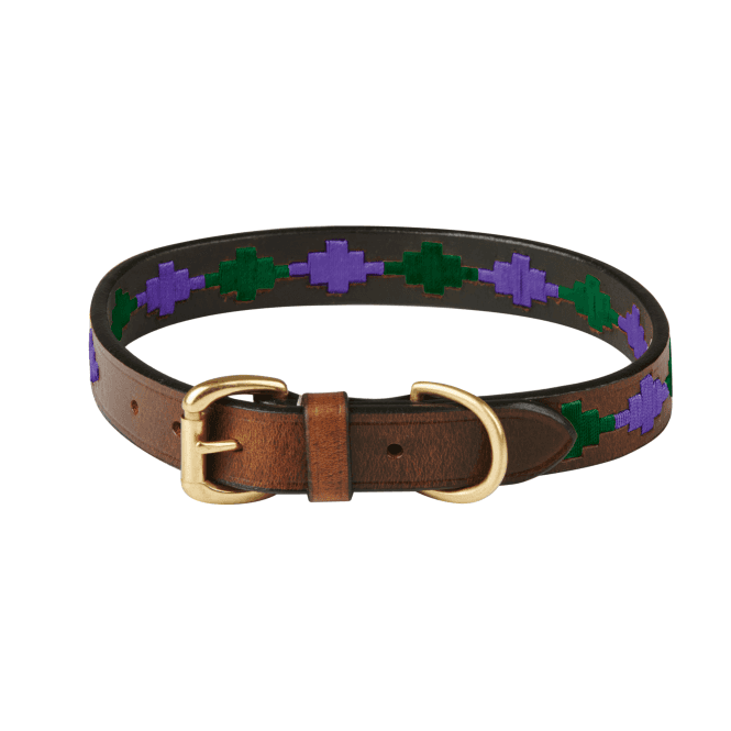 Weatherbeeta  Polo Leather Dog Collar - Beaufort Brown/Purple/Teal
