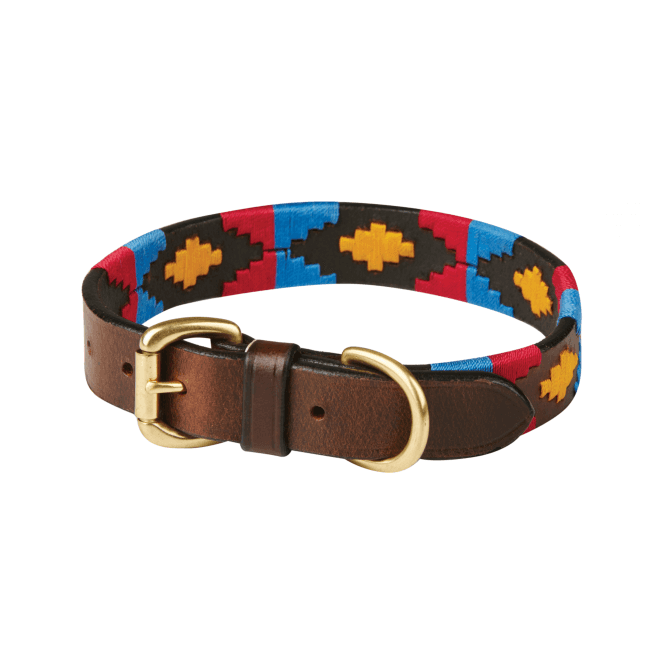 Weatherbeeta  Polo Leather Dog Collar - Cowdray Brown/Pink/Blue/Yellow