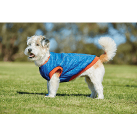Weatherbeeta Puffer Dog Coat - Blue/Flame
